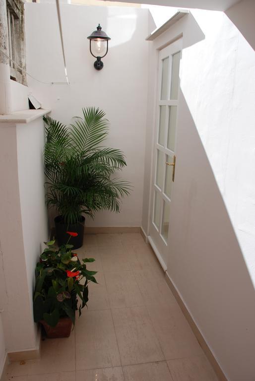 Entrance with plants